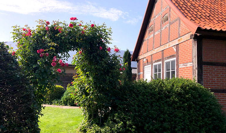 Impression Haus mit Rosenbogen aus Gartenansicht